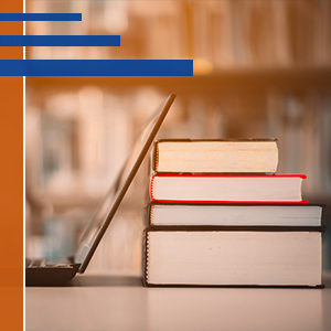4849 Searching the Literature 2025