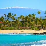 BIG ISLAND HAWAII PRACTICE FOR SALE