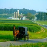 High-Profit Lancaster, PA Chiropractic Practice for Sale