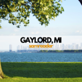 GAYLORD, MI PRACTICE FOR SALE