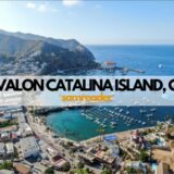 AVALON, CA [CATALINA ISLAND] PRACTICE FOR SALE