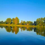 Morris, MN Chiropractic Practice for Sale