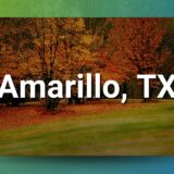 Profitable Chiropractic Practice for Sale in Amarillo, TX