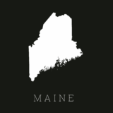 TOPSHAM, MAINE PRACTICE FOR SALE:
