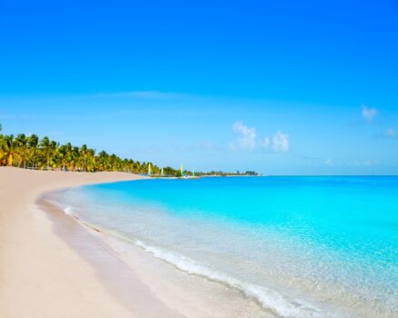 Thumbnail for the listing's main image