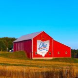 N. Central Ohio Chiropractic Practice for Sale