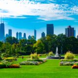 Chicago Suburbs (South) Chiropractic Practice for Sale