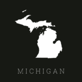 LENAWEE COUNTY, MI PRACTICE FOR SALE: