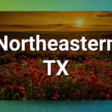 Thriving Northeast TX Clinic with Real Estate + Low Overhead