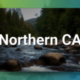 Northern CA Chiropractic Practice for Sale