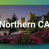 Northern CA Chiropractic Practice for Sale–Priced Under Net