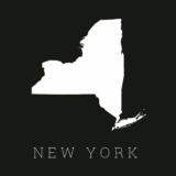 EAST AURORA, NY INTEGRATIVE PRACTICE FOR SALE: