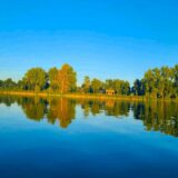 Chiropractic Practice for Sale in Stevens County, MN