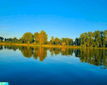 Thumbnail for the listing's main image