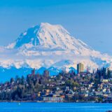 Chiropractic Practice for Sale in Seattle-Tacoma, WA Suburbs
