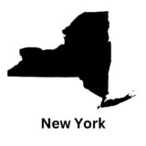 Westbury NY Chiropractic Practice for Sale