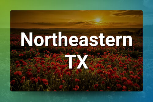 Thumbnail for the listing's main image