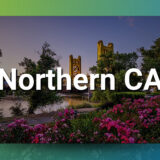 Northern CA Chiropractic Practice for Sale–Priced Under Net