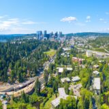 90% CASH Bellevue Area Chiropractic Practice for Sale