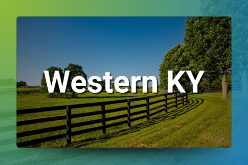 Thumbnail for the listing's main image