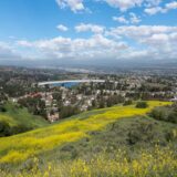 Orange County, CA Chiropractic Practice for Sale