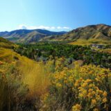 Thriving Golden, CO Chiropractic Practice for Sale
