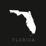 PALM HARBOR, FL PRACTICE FOR SALE:
