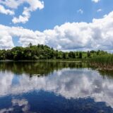 Chiropractic Practice for Sale in Kenosha County, WI