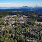 High Profit Chiropractic Practice for Sale in Mill Creek WA