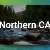 Northern CA Chiropractic Practice for Sale