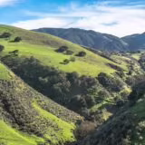 Monterey County, CA Chiropractic Practice for Sale