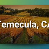 Stable CA Chiropractic Clinic for Sale