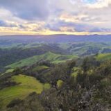 East Bay Suburban Chiropractic Practice for Sale